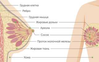Болит ли грудь при раке молочной железы, или как с этим бороться