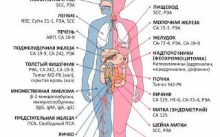 Подборка онкомаркеров специально для кишечника, есть даже…