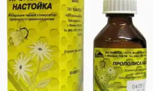 7 способов использования прополиса при онкологии