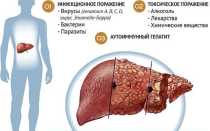 Функции печени в организме человека