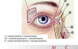 ЗАБОЛЕВАНИЯ СЛЕЗНОГО АППАРАТА