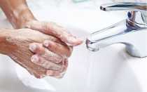 Лечение эхинококка