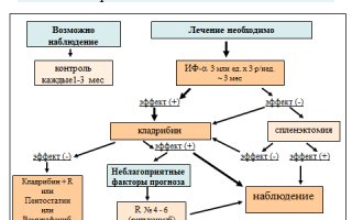 Волосатоклеточный лейкоз: прогноз для жизни, симптомы, лечение
