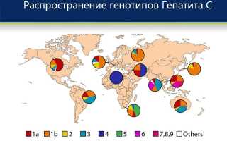 1 генотип гепатита с