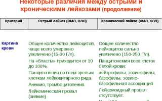 Хронический лейкоз: отличие от острого, симптомы, лечение