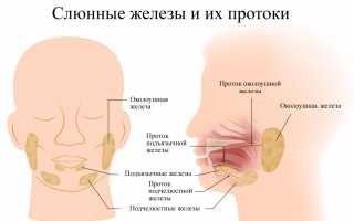 Рак слюнной железы: особенности опасной патологии