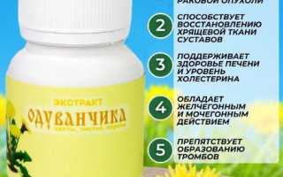 Корень одуванчика при онкологии и раке: лечебные свойства, как принимать