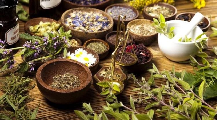 сборы трав при асците сборы трав при асците