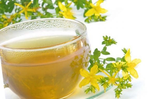 чистотел чистотел