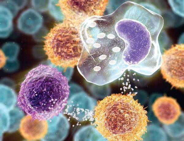 Цитокинотерапия Цитокинотерапия