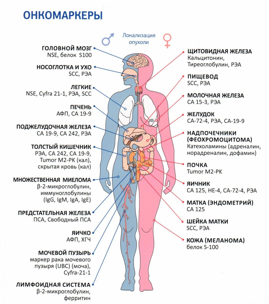 Онкомаркеры Онкомаркеры