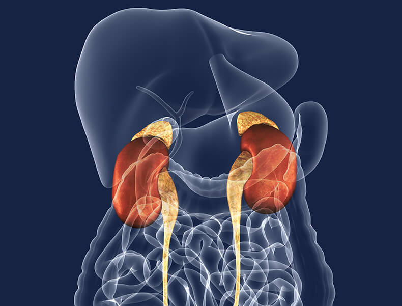 аденома надпочечника у женщин симптомы лечение аденома надпочечника у женщин симптомы лечение