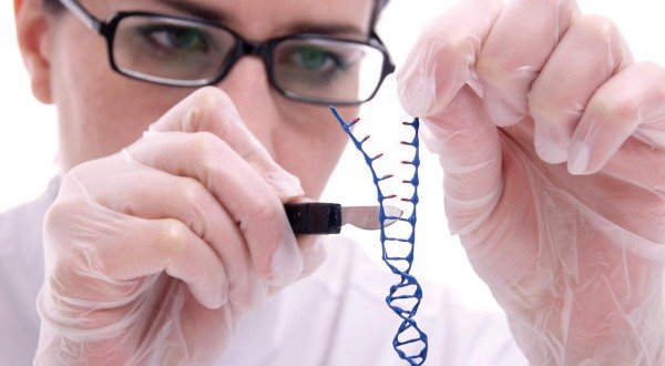 Генетическая предрасположенность Генетическая предрасположенность