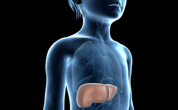 Гепатобластома печени у детей Гепатобластома печени у детей