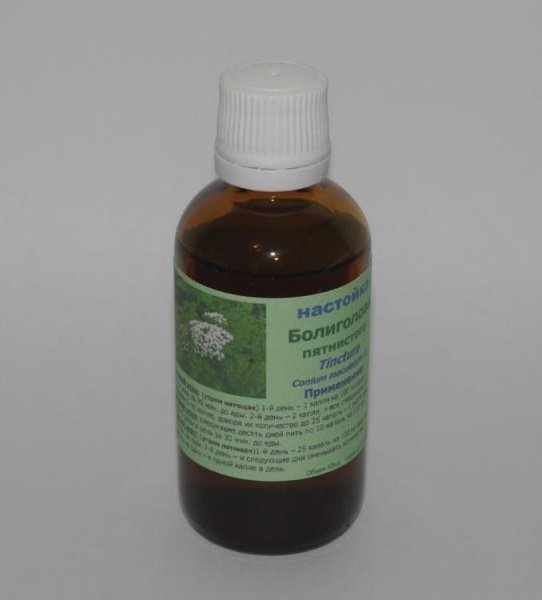 Настойка болиголова Настойка болиголова