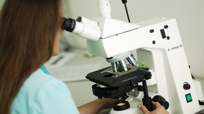 микроскопическое исследование микроскопическое исследование