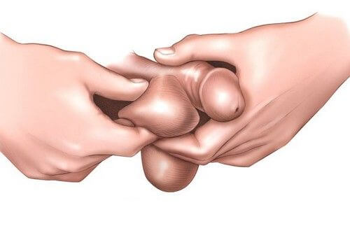 рак яичка у мужчин симптомы рак яичка у мужчин симптомы