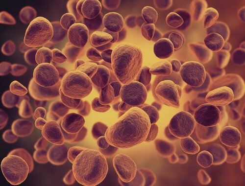 Обнаружена новая лекарственная комбинация для лечения рака легкого