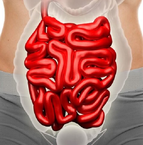 Лечение рака кишечника в Израиле