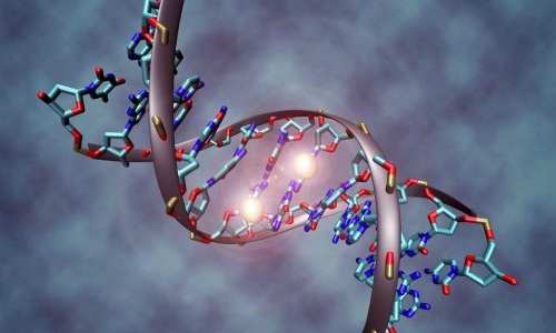 Генетическая предрасположенность к аллергии Генетическая предрасположенность к аллергии