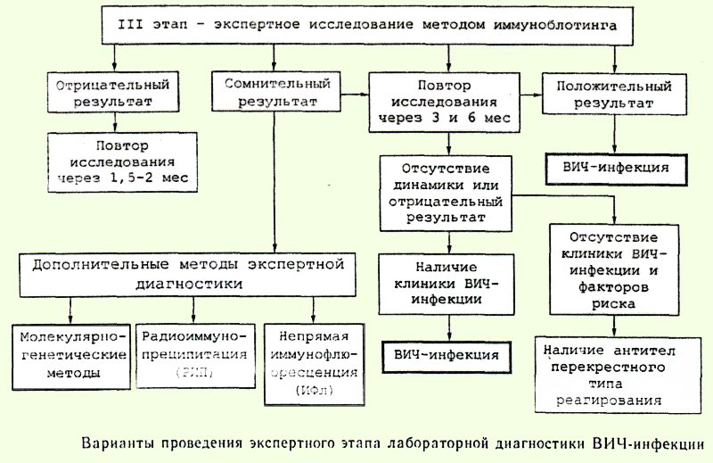 Экспертная диагностика ВИЧ Экспертная диагностика ВИЧ