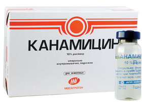 Канамицин как заменитель пенициллина Канамицин как заменитель пенициллина