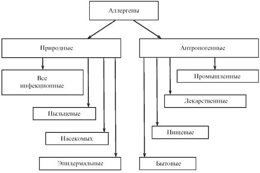 Классификация аллергенов Классификация аллергенов