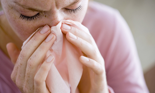 Аллергия на белок Аллергия на белок