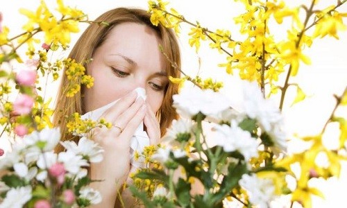 Проблема аллергии Проблема аллергии