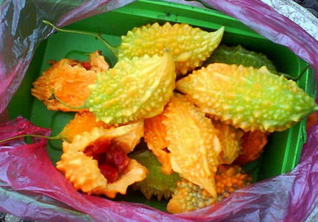 Горькая дыня для укрепления иммунитета при сахарном диабете Горькая дыня для укрепления иммунитета при сахарном диабете