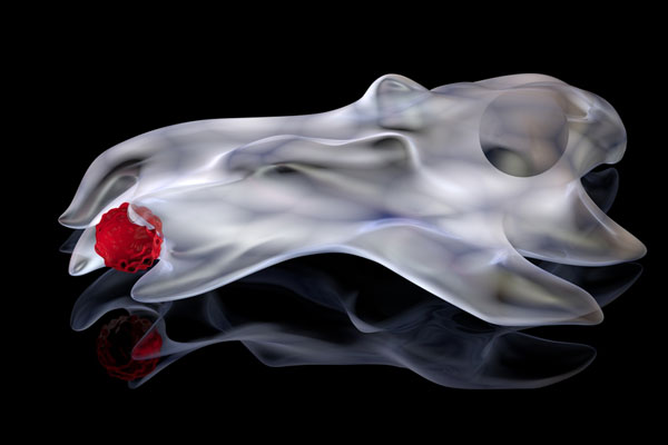 Клетки-защитники - фагоциты Клетки-защитники - фагоциты