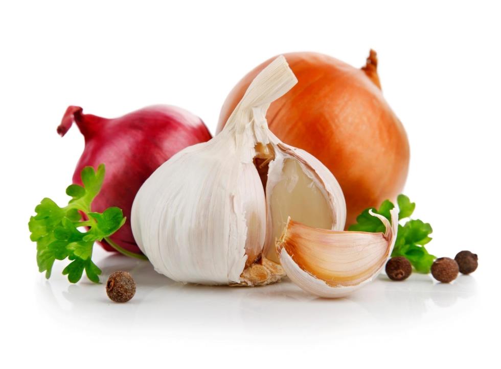 Использование чеснока и лука для укрепления иммунитета кормящей мамы Использование чеснока и лука для укрепления иммунитета кормящей мамы