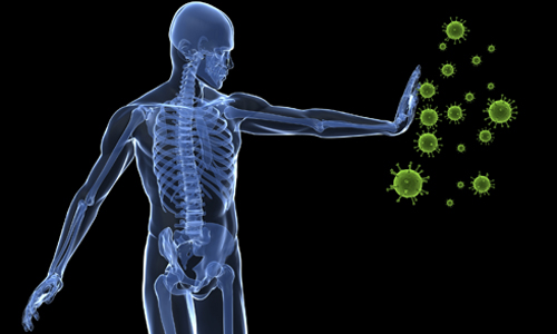 Иммунная защита организма человека Иммунная защита организма человека