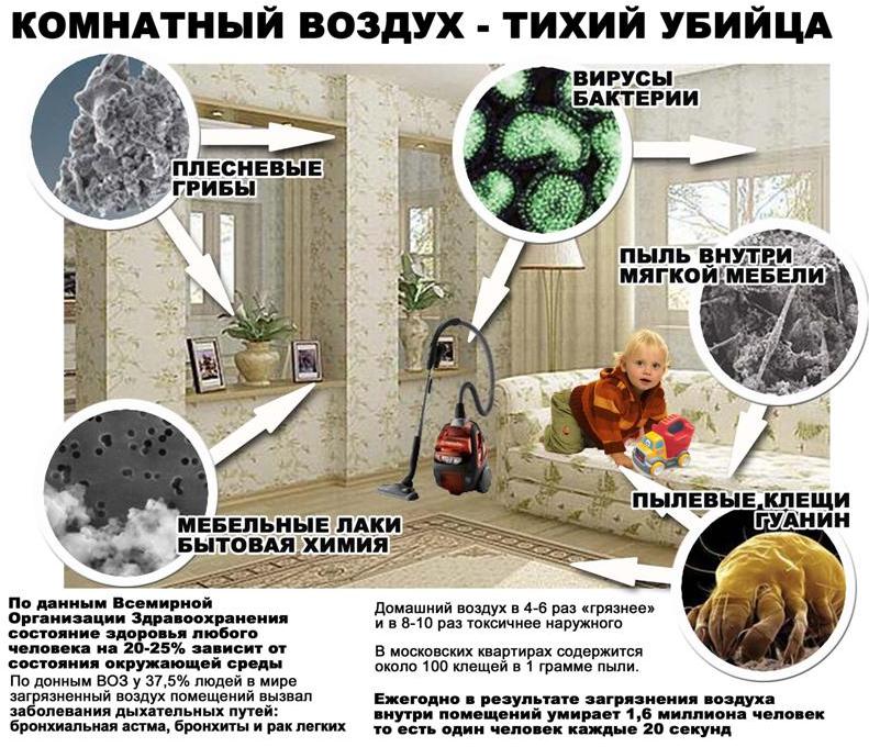 Источники аллергии в квартире Источники аллергии в квартире