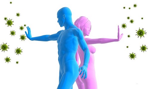 Имунная система человека Имунная система человека