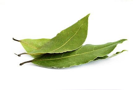 Лавровый лист при аллергии Лавровый лист при аллергии