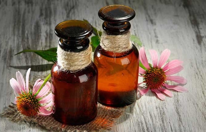 Экстракт эхинацеи для повышения иммунитета Экстракт эхинацеи для повышения иммунитета