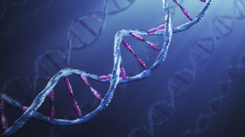 Генные мутации как причина аутоиммунных заболеваний Генные мутации как причина аутоиммунных заболеваний