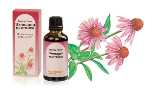 Настойка эхинацеи для укрепления иммунитета Настойка эхинацеи для укрепления иммунитета