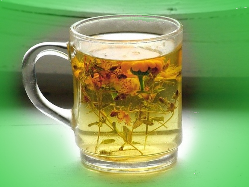 Отвар череды для укрепления иммунитета после болезни Отвар череды для укрепления иммунитета после болезни