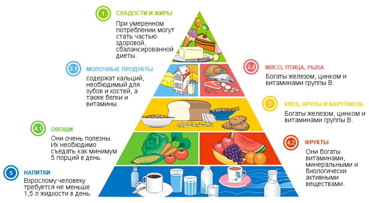 Пирамида рационального питания Пирамида рационального питания