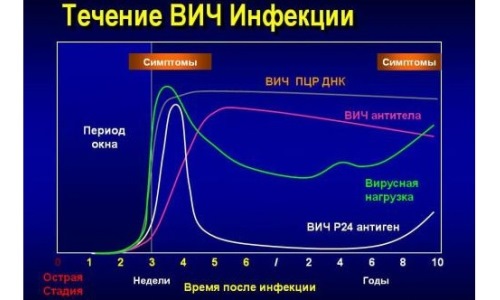 Течение ВИЧ-инфекции Течение ВИЧ-инфекции