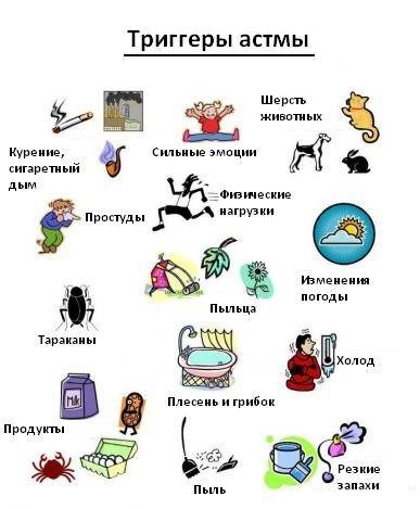 Триггеры астмы Триггеры астмы
