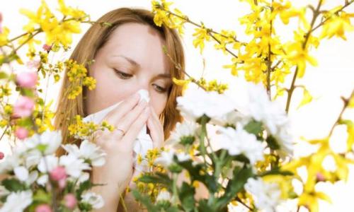 Проблема аллергии Проблема аллергии