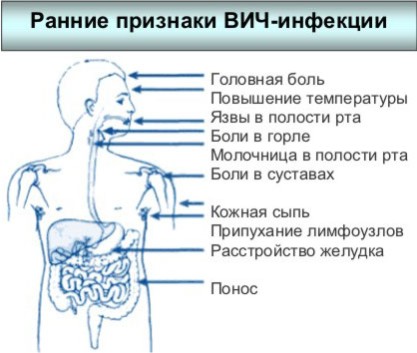 Первые признаки инфекции Первые признаки инфекции