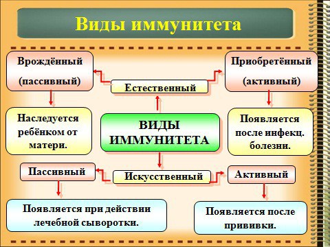 Виды иммунитета Виды иммунитета