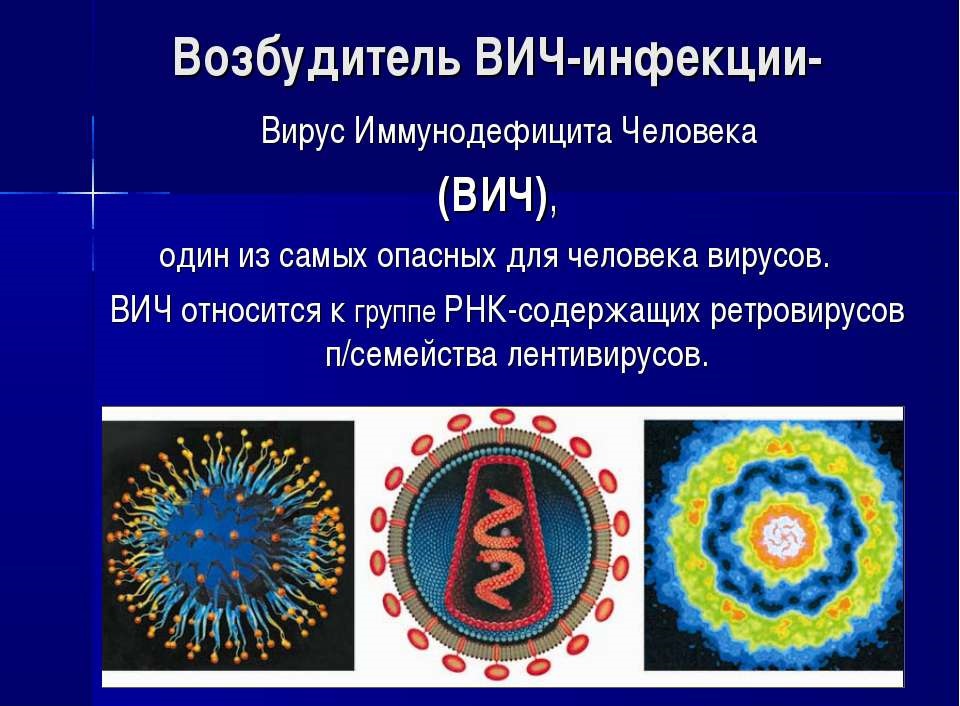 Возбудители ВИЧ Возбудители ВИЧ