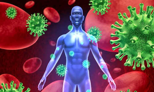 Иммунная система человека Иммунная система человека